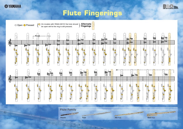 Flute Fingerings Guide | PDF