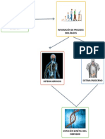 Esquema Resumido de Conducta