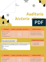 Auditoria Historia Clínica