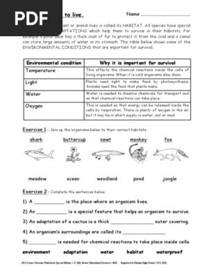 ks3 science revision worksheets environment pdf pesticide predation