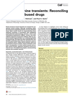 Illicit Dopamine Transients: Reconciling Actions of Abused Drugs