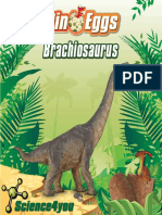 dino-eggs-brachiosaurus 