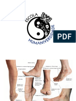 Anatomia Dos Pés PDF