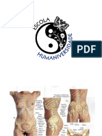 ANATOMIA LOMBAR ABDOMEN.pdf