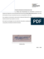 Reporte Coordinación Pie 2020 Mañio Ducañan PDF