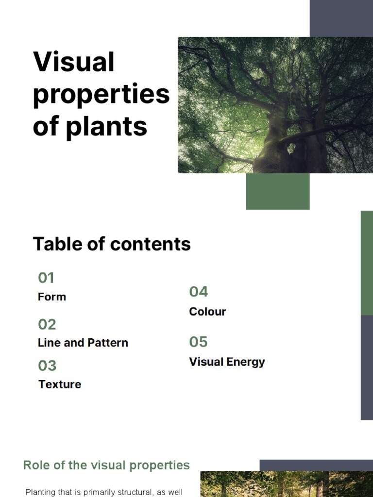 Visual Properties of Plant Forms | PDF | Shrub | Trees