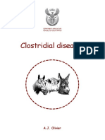 Clostridial Diseases - Ebook