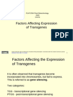Factors Affecting Expression of Transgenes: PLNT2530 Plant Biotechnology 2020 Unit 8c