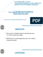 Semana 10 PDF