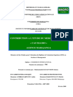 Ranaivosonsedera IUGM DTS 09 PDF