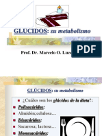 15 METABOLISMO DE GLUCIDOS.pdf