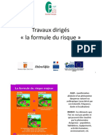 TD - La Formule Du Risque - SEQ2 1 PDF
