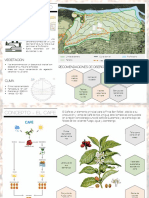 Analisis y Concepto PDF