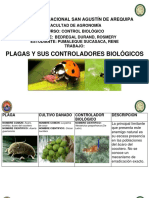 Plagas y Sus Controladores Biológicos (Pumaleque Sucasaca Rene)