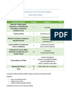 Pauta de Evaluación On Line PDF