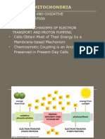 Mitochondria: Mitochondria and Oxidative Phosphorylation Molecular Mechanisms of Electron Transport and Proton Pumping