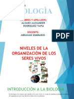 Diapositivas 1