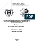Dershidratado de Aguymantoind-Esp-Mel-16 PDF