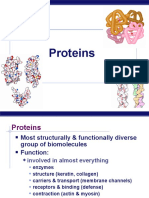 Biotek 3 Protein