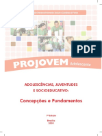 PROJOVE_Concep_Fundamentos.pdf