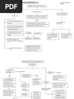 Mapa Conceptual Zittoun
