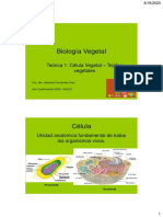 BV 2020 - Clase 1 Celula Vegetal - Tejidos Vegetales