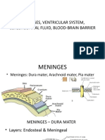 Meninges, ventricular system, cerebrospinal fluid and blood-brain barrier overview