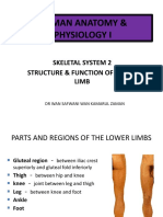 Lecture 12 Skeletal System Lower Limb (Structure Function)