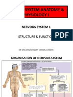 Lecture 7 Nervous System 1 - STRUCTURE FUNCTION