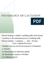 2.Physiology of Lactation.pptx