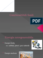 Combusitibili Fosili