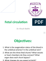 Fetal Circulation: Dr. Khush Bakht