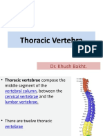 Thoracic Vertebra: Dr. Khush Bakht