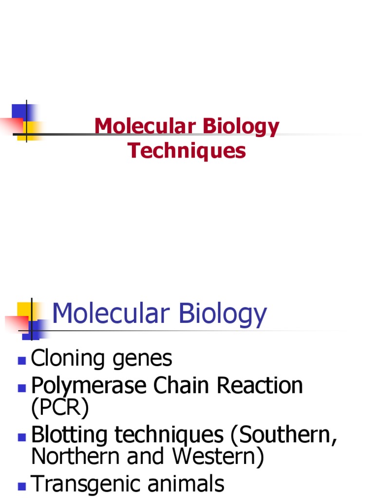 Molecular Biology Fall BUC PDF | PDF | Molecular Cloning | Transgene