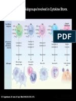 T-Cell Effector Subgroups Involved in Cytokine Storm.: DC Fajgenbaum, CH June. N Engl J Med 2020 383:2255-2273