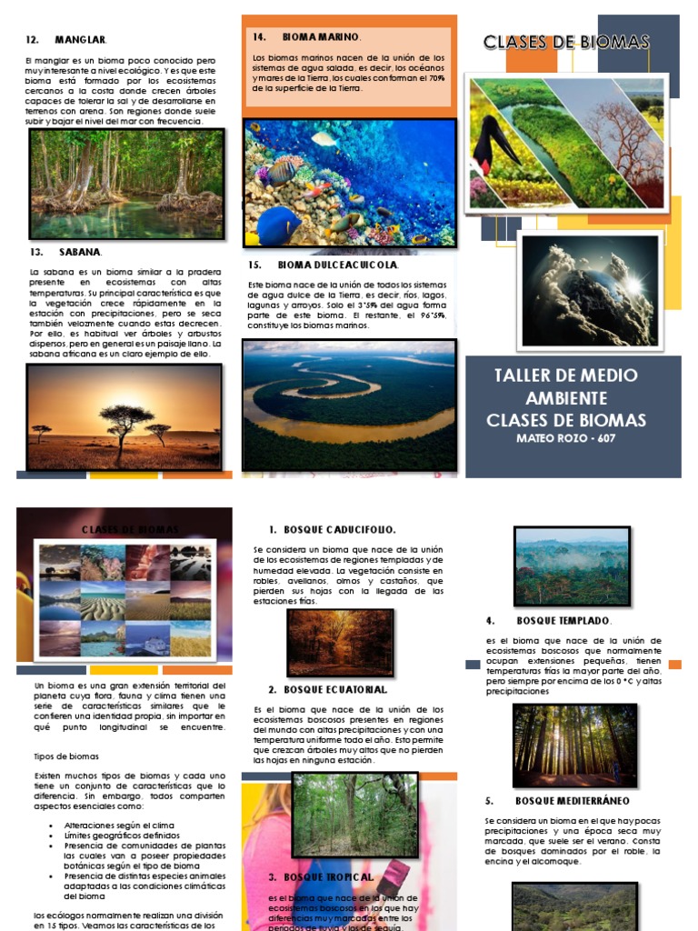 Tipos de Biomas del Mundo | PDF | Desierto | Ecosistema