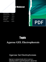 Agarose Gel Elect Final