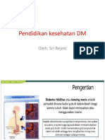 Pendidikan Kesehatan DM