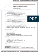 Chapter 2: Nutrition in Animals: Fill in The Blanks