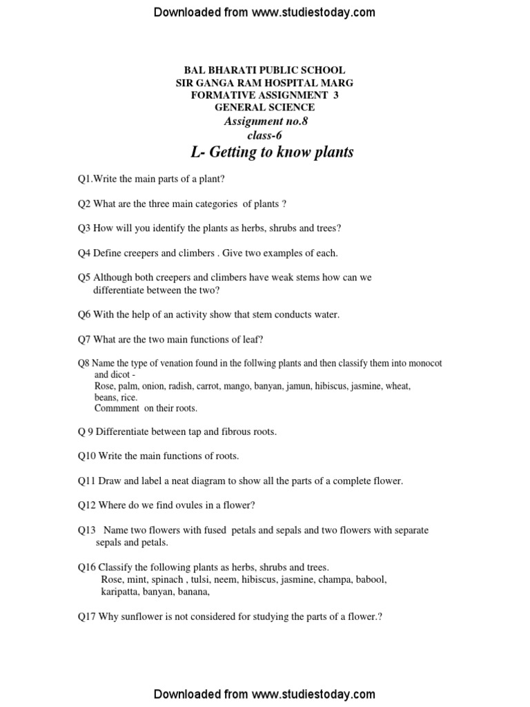 Class 6 Science: Understanding Plants | PDF | Home & Garden | Wellness