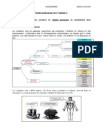 Cours Cnidaires Et Cténaires