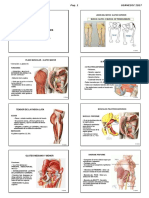 2-anatomia-locomotor-m-inferior-usa-2017-alu.pdf.pdf