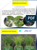 Fertilización Foliar-Ventajas y Desventajas