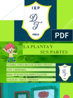 Las Plantas y Sus Partes-Pablo Quispe