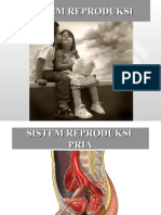 Fisiologi Sistem Reproduksi-1