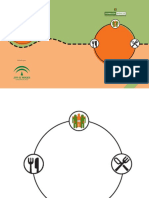 11440 Menús semanales para enfermos renales crónicos - Federación Andaluza.pdf