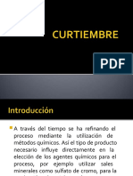 Curtiembre