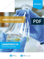 Laboratorio 3 Cambios Físicos y Químicos PDF