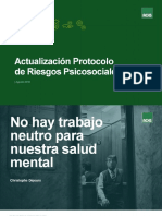 Actualizacion Riesgos Psicosociales 2018