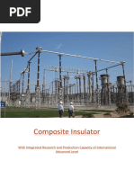 Catalog Composite+Insulator-CNME PDF